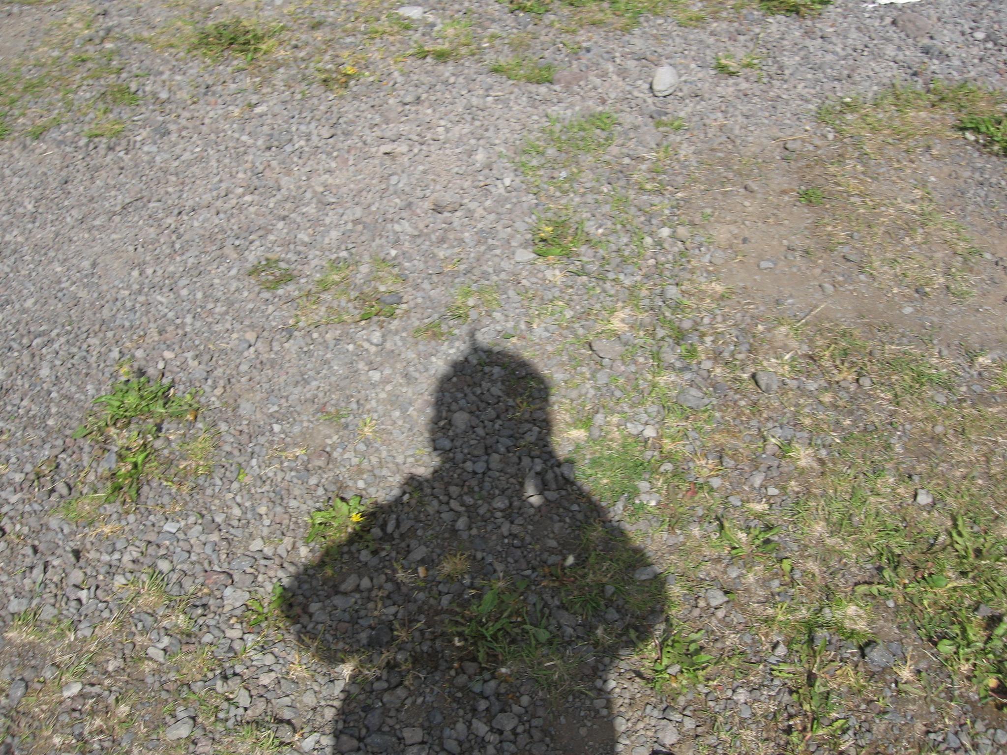 IMG_1458.JPG